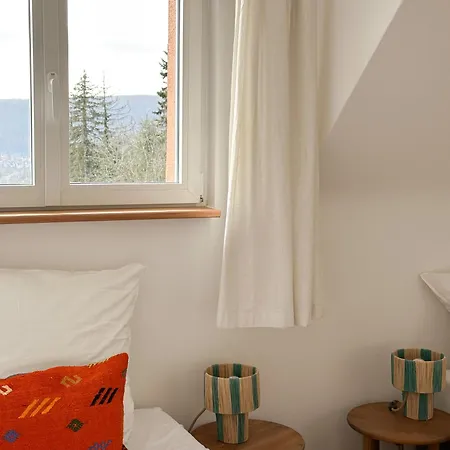 Zita Ferienhaeuser - Burgi * Neckargemünd